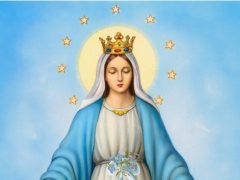 Immaculate Conception of  the Blessed Virgin Mary