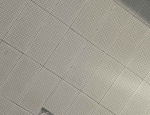 IMG_1881