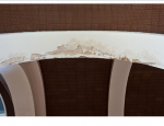 Water-damage-to-arch-Alex