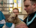 Easter-2018-Canon-C-with-Lamb_QUOTE-1-672x372