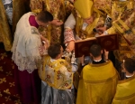 Gricigliano_20190704_110234