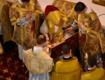 Gricigliano_20190704_110820