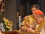 Gricigliano_20190704_112951