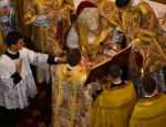 Gricigliano_20190704_121805