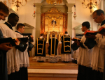 Gricigliano_20201119_123335