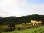 ia_200000896