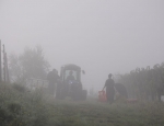 Gricigliano_20180905_084256