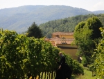 Gricigliano_20180905_111204
