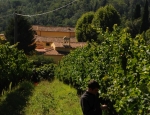 Gricigliano_20180905_112052
