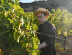 07-Vendanges-Gricigliano_20220810_073316