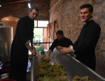 11-Vendanges-Gricigliano_20220810_103557