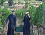 14-Vendanges-Gricigliano_20220811_102836
