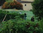 25-Vendanges-Gricigliano_20220905_070550