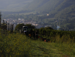 33-Vendanges-Gricigliano_20220905_083235